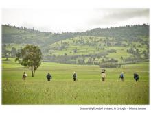 Berga Wetland, Ethiopia - Photo: Miona Janeke